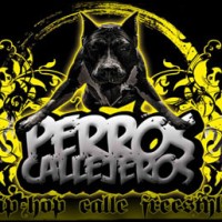 Videos: Perros Callejeros | Final, Guadalajara – 2010