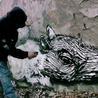 Video: Graffiti Show | Roa en México – 2011