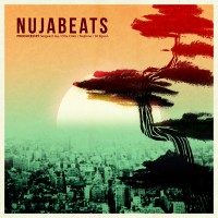 Descarga: Nujabes | Nujabeats:Rest in Beats