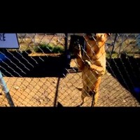 Video: Youssoupha | Dreamin’ ft. Indila & Skalpovitch