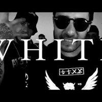Video: Ivan Nieto | White mirlo