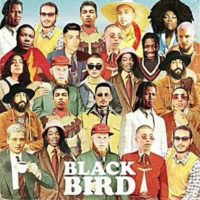 Lanzamiento:  Dj Elite | Blackbird