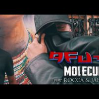 Video: Afu-Ra | Molecular ft. Jah Mason & Rocca