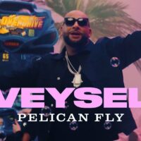 Video: Veysel | Pelican fly