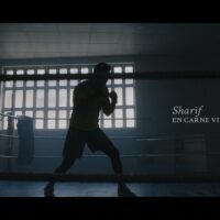 Video: Sharif | En carne viva