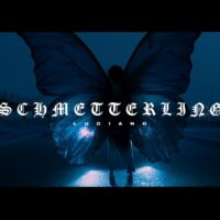Video: Luciano | Schmetterling
